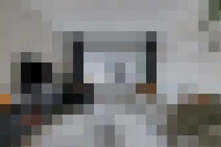 Venuslaan 525 Eindhoven thumbnail 4