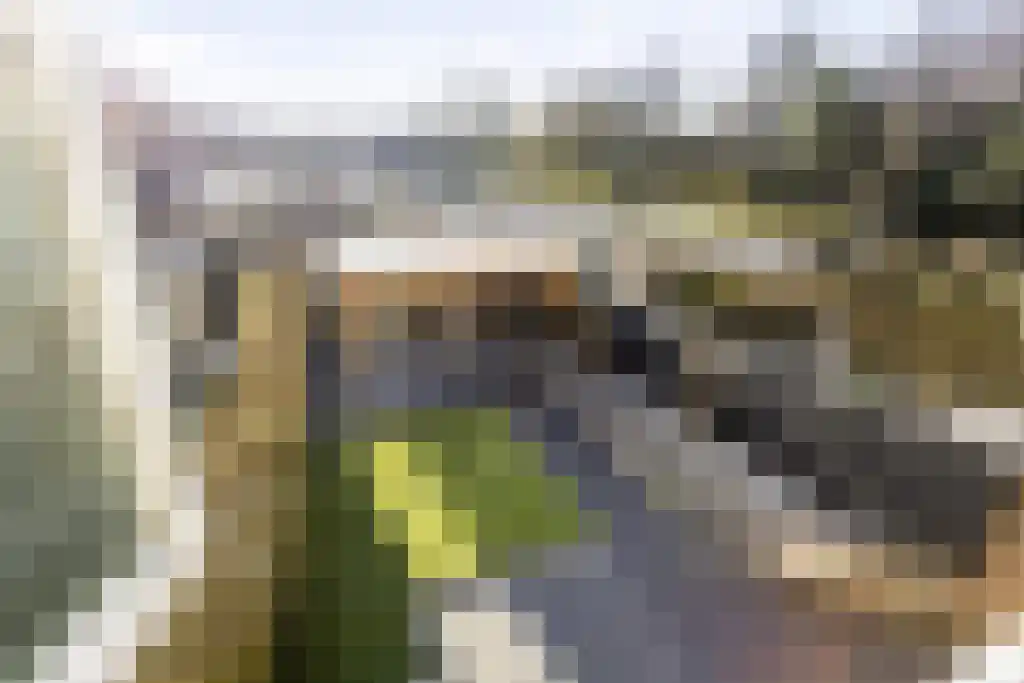 Venuslaan 533 Eindhoven thumbnail 14