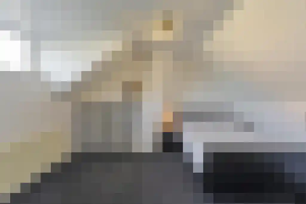 Venuslaan 533 Eindhoven thumbnail 19