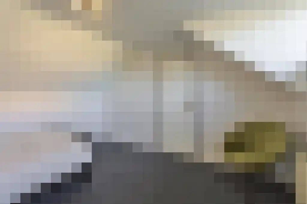 Venuslaan 533 Eindhoven thumbnail 20
