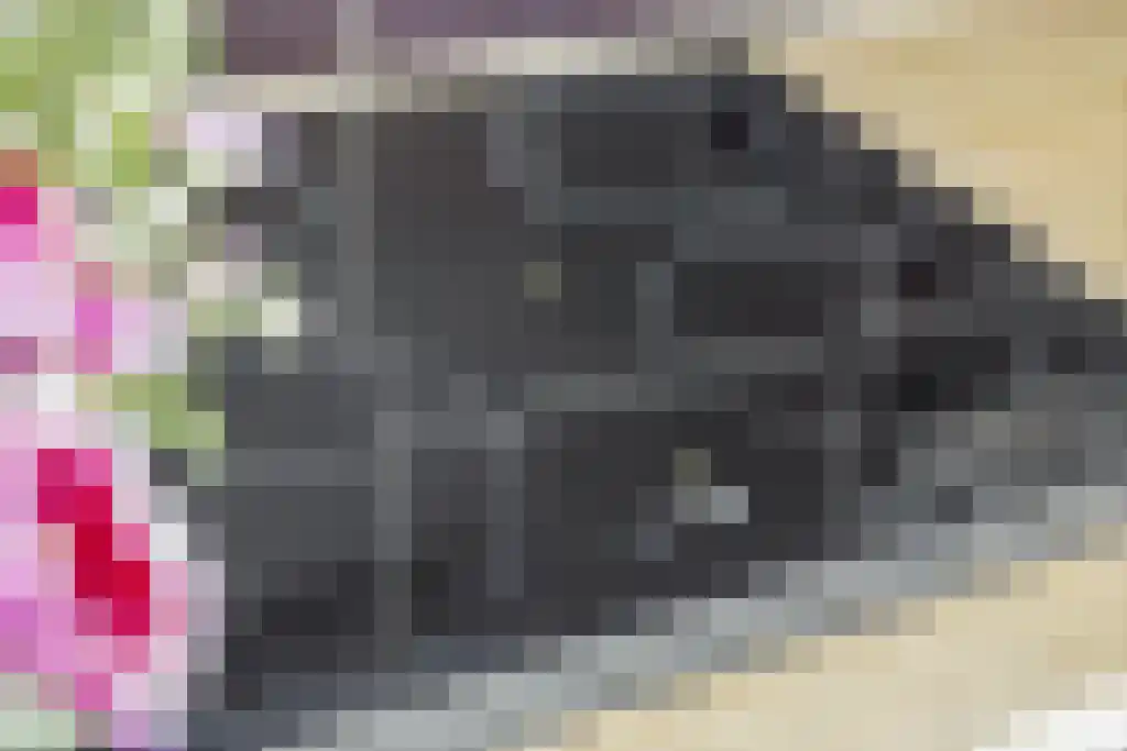Venuslaan 533 Eindhoven thumbnail 9