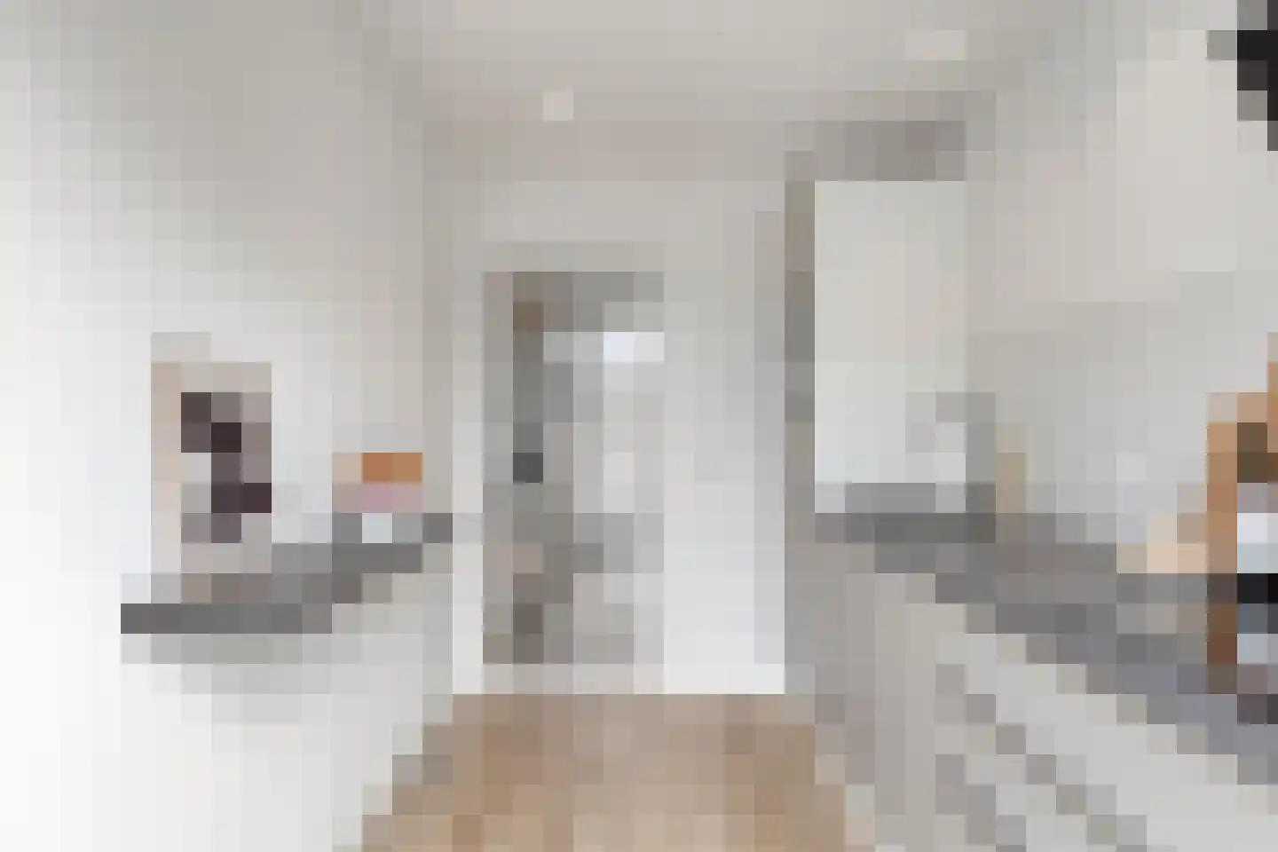 Venuslaan 535 Eindhoven thumbnail 14
