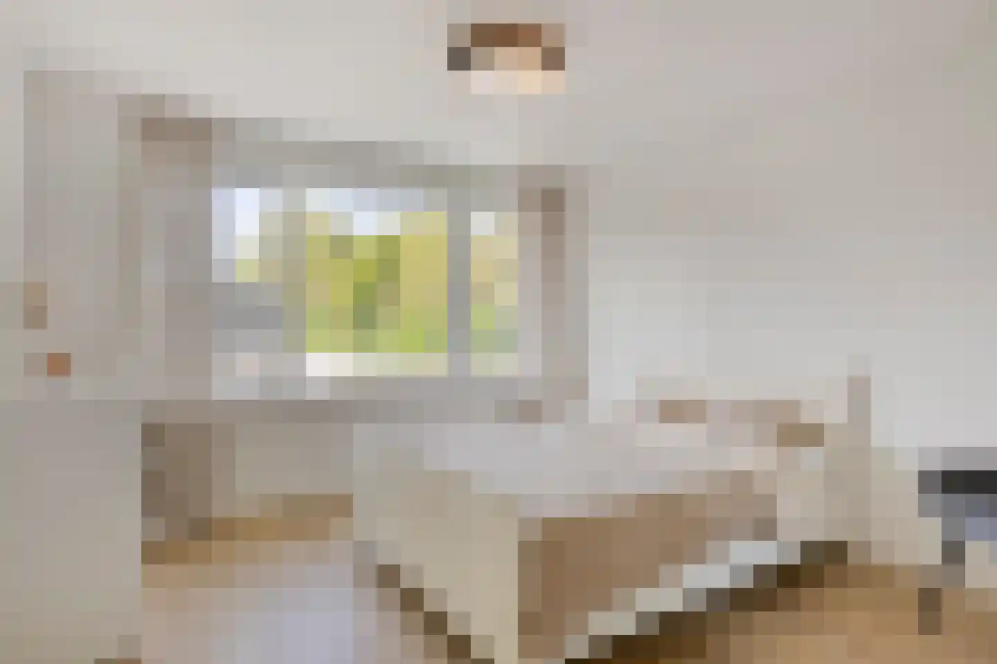 Venuslaan 535 Eindhoven thumbnail 19