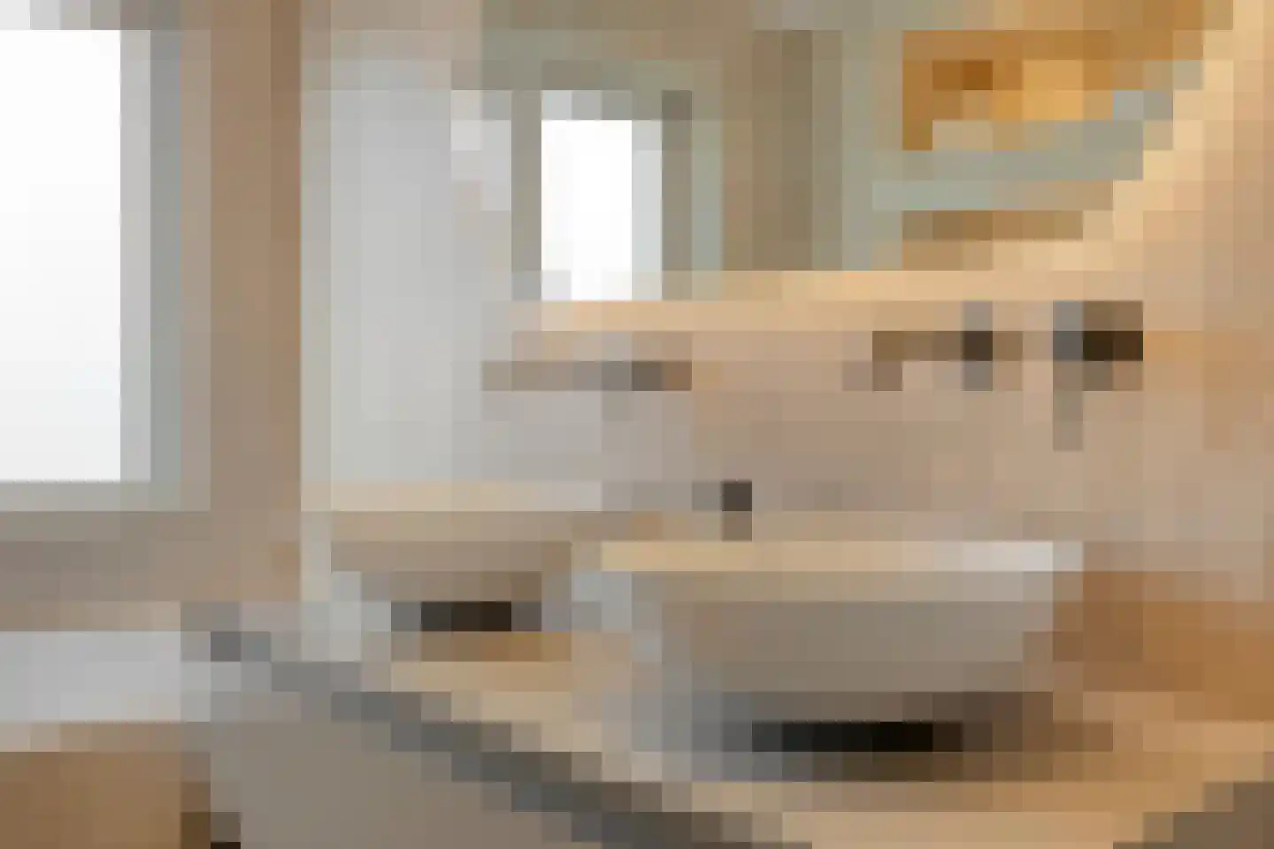 Venuslaan 535 Eindhoven thumbnail 22