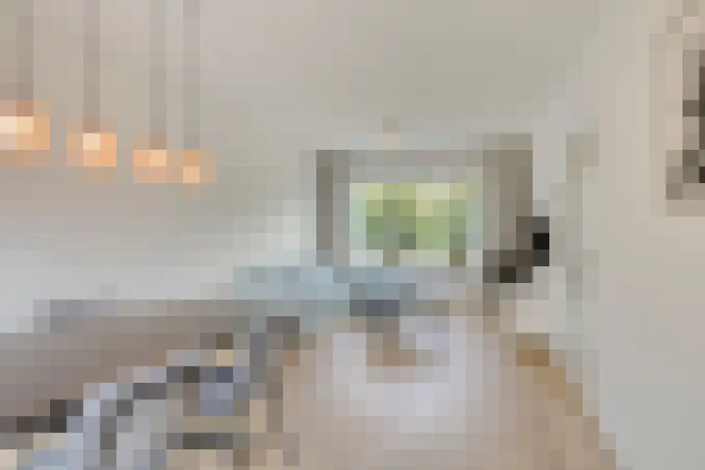 Venuslaan 535 Eindhoven thumbnail 7