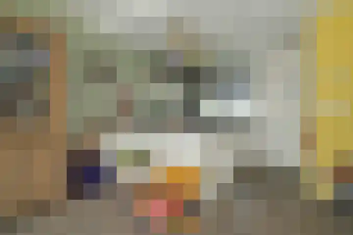 Venuslaan 54 Breda thumbnail 15
