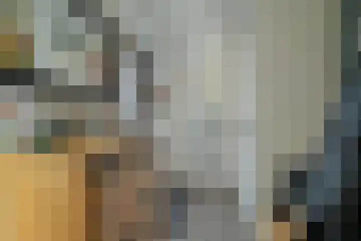 Venuslaan 54 Breda thumbnail 20