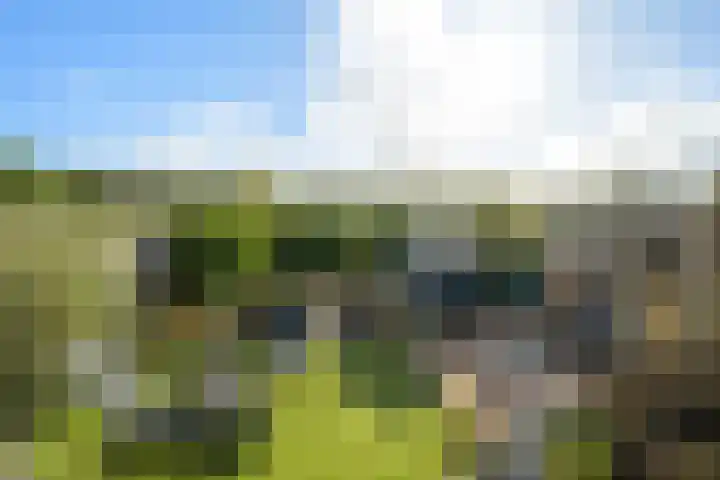 Venuslaan 54 Breda thumbnail 22