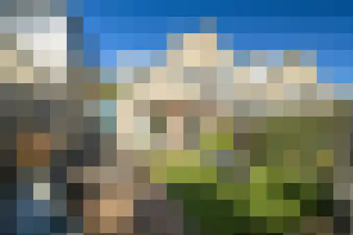 Venuslaan 54 Breda thumbnail 23