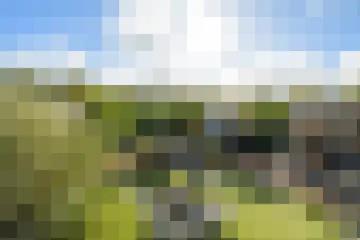Venuslaan 54 Breda thumbnail 26