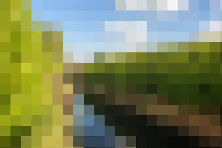 Venuslaan 54 Breda thumbnail 27