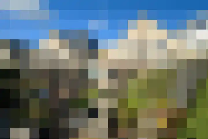 Venuslaan 54 Breda thumbnail 29