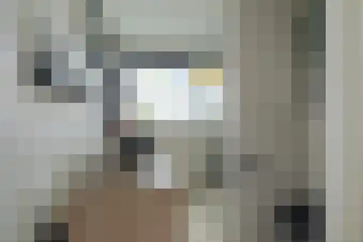 Venuslaan 54 Breda thumbnail 36