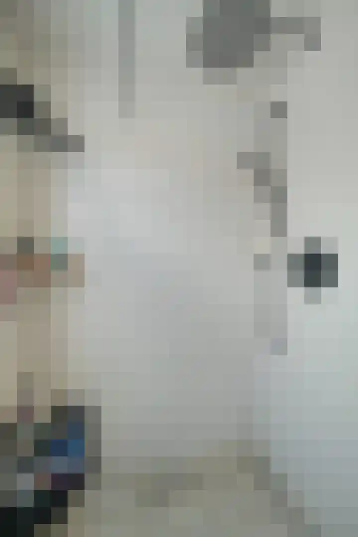 Venuslaan 54 Breda thumbnail 38