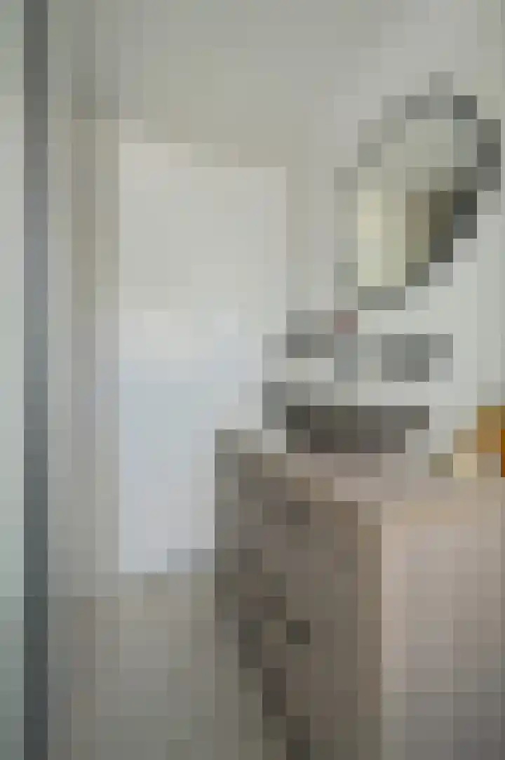 Venuslaan 54 Breda thumbnail 39