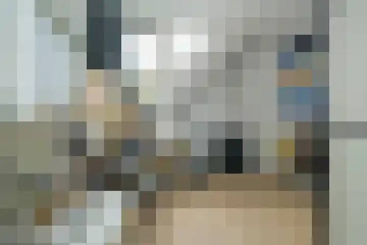 Venuslaan 54 Breda thumbnail 41