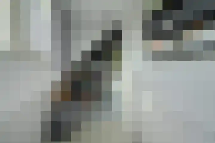 Venuslaan 54 Breda thumbnail 43