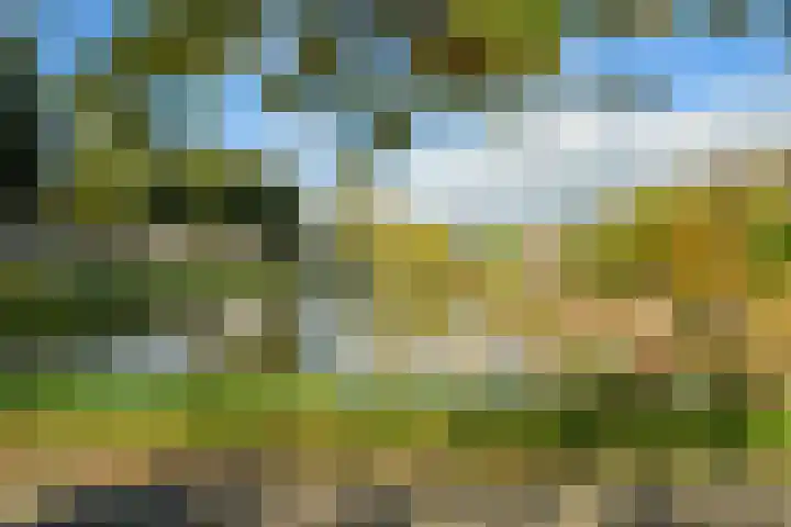 Venuslaan 54 Breda thumbnail 50