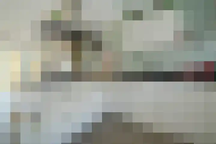 Venuslaan 54 Breda thumbnail 8