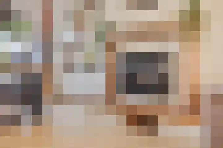 Venuslaan 6 Son en Breugel thumbnail 11