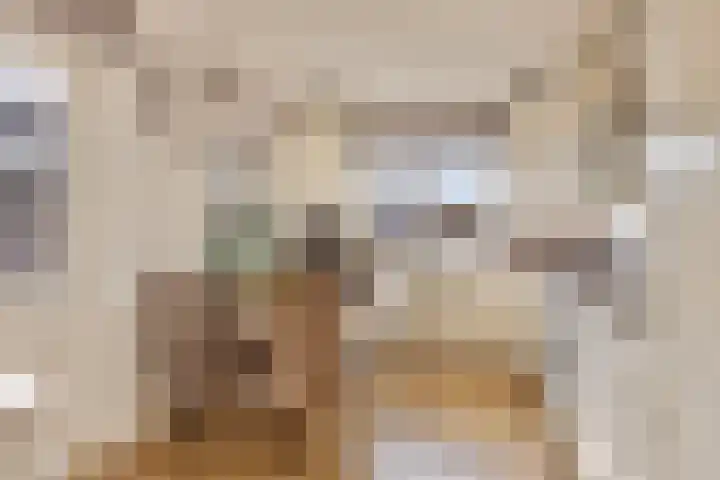 Venuslaan 6 Son en Breugel thumbnail 15