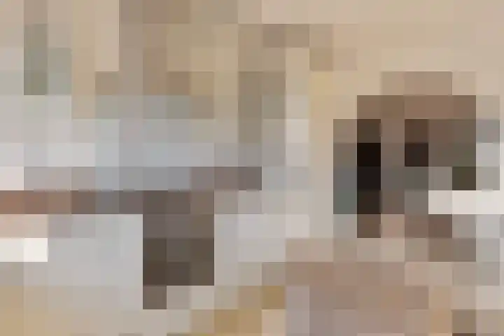 Venuslaan 6 Son en Breugel thumbnail 16