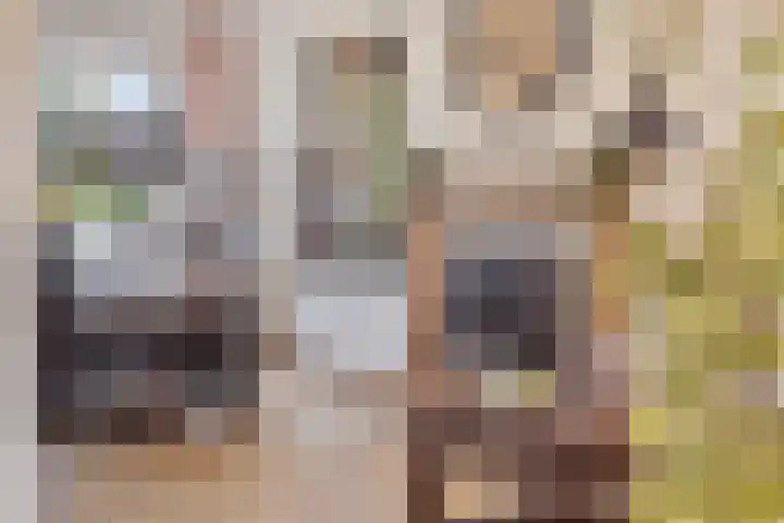 Venuslaan 6 Son en Breugel thumbnail 17