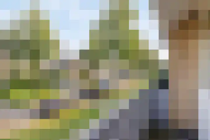 Venuslaan 6 Son en Breugel thumbnail 27