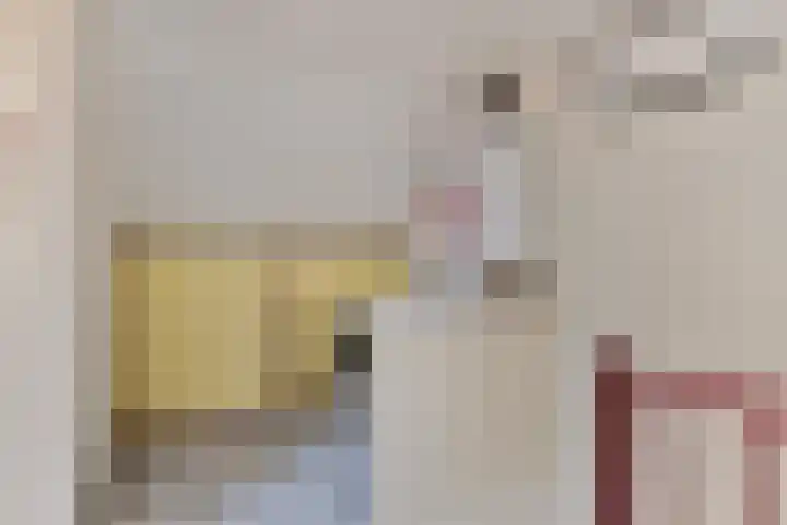 Venuslaan 6 Son en Breugel thumbnail 29