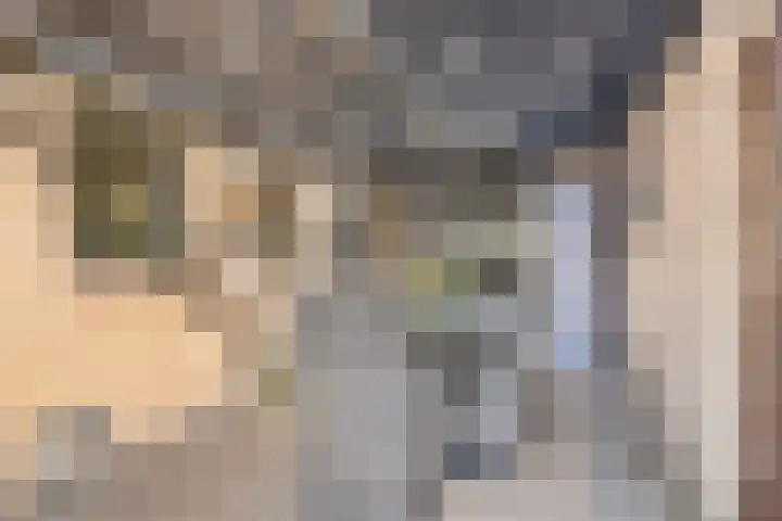 Venuslaan 6 Son en Breugel thumbnail 32