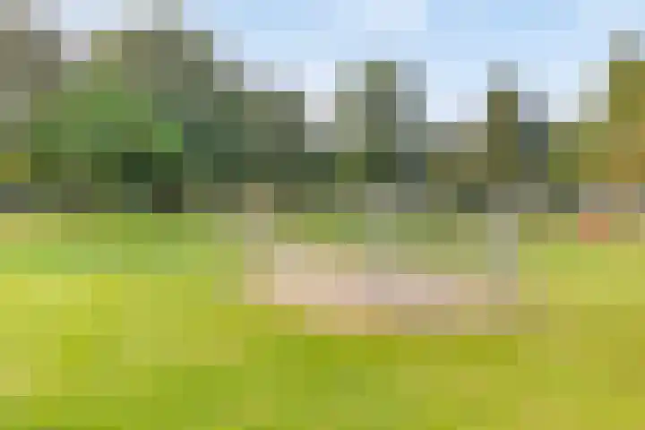 Venuslaan 6 Son en Breugel thumbnail 35