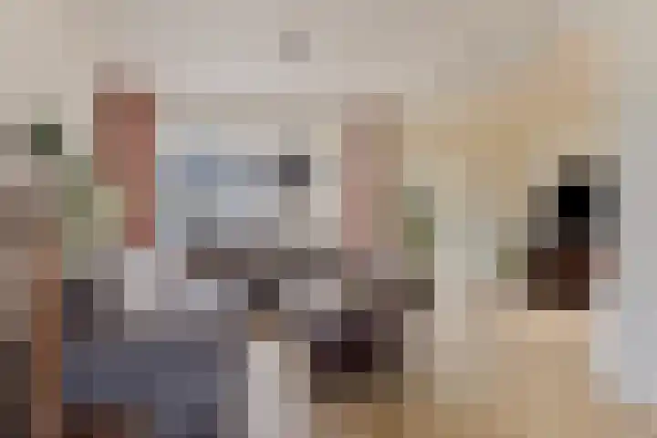 Venuslaan 6 Son en Breugel thumbnail 9