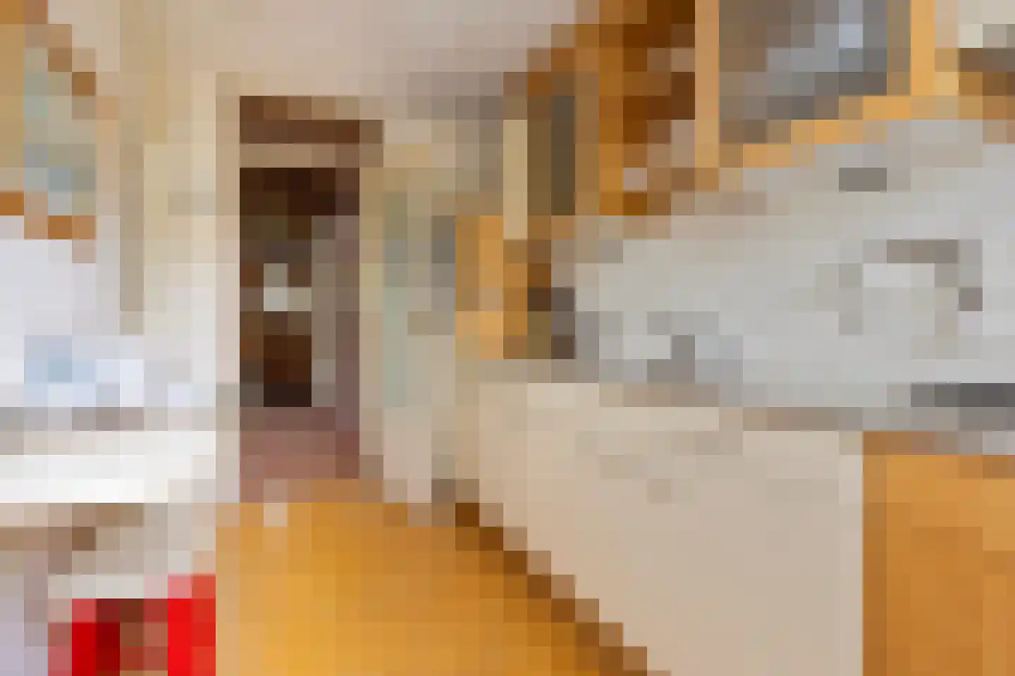 Venuslaan 77 Groningen thumbnail 15