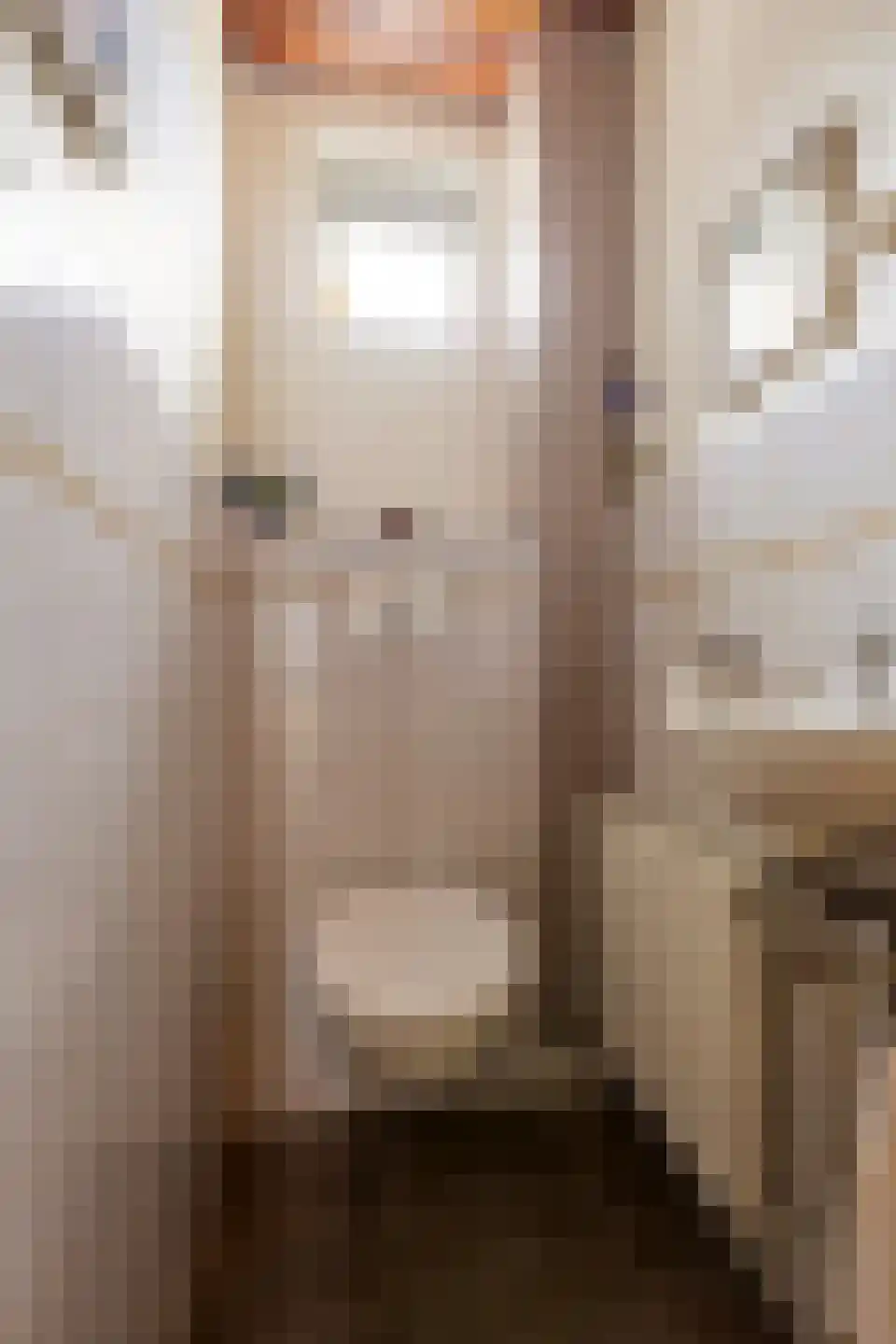 Venuslaan 77 Groningen thumbnail 17