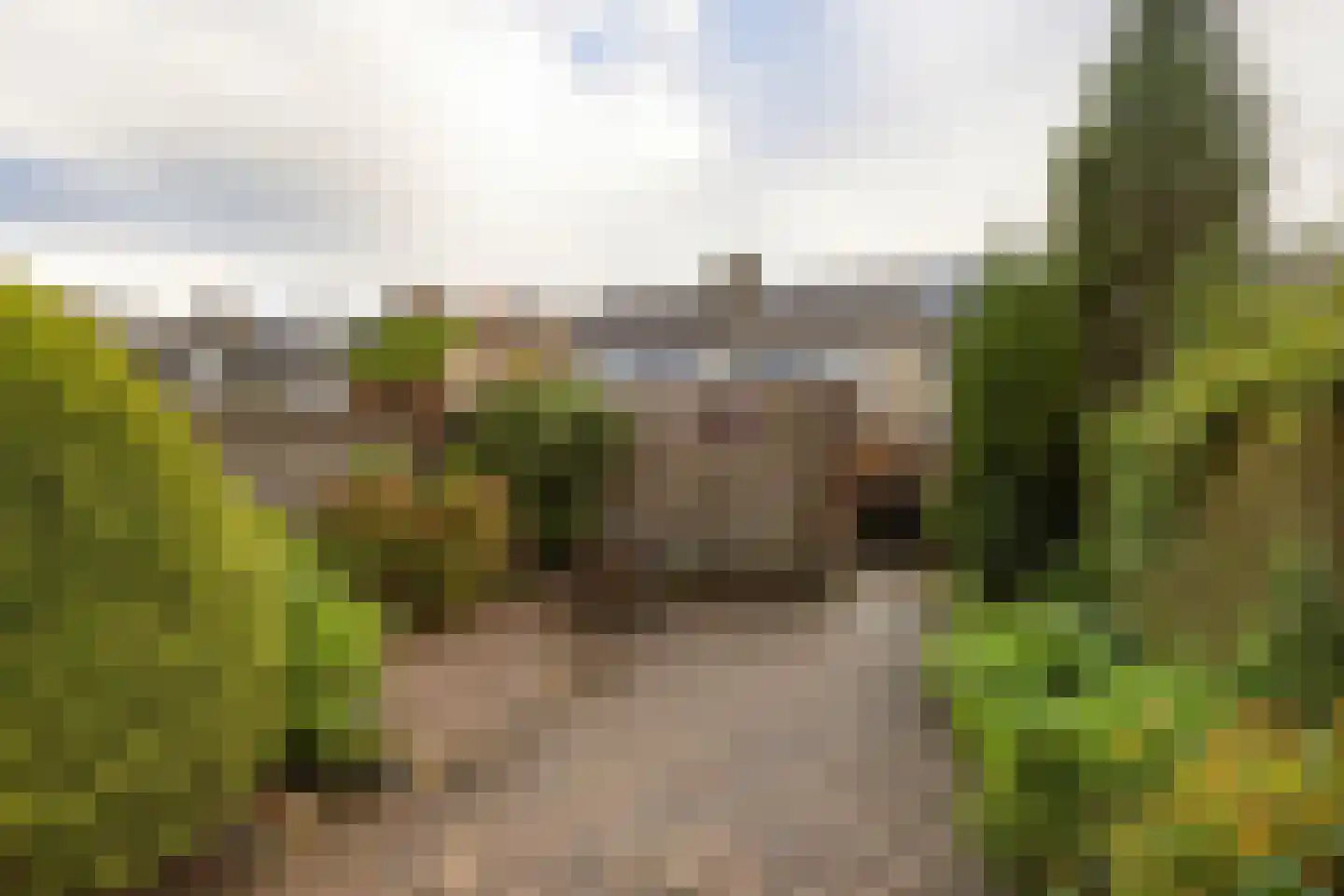 Venuslaan 77 Groningen thumbnail 31