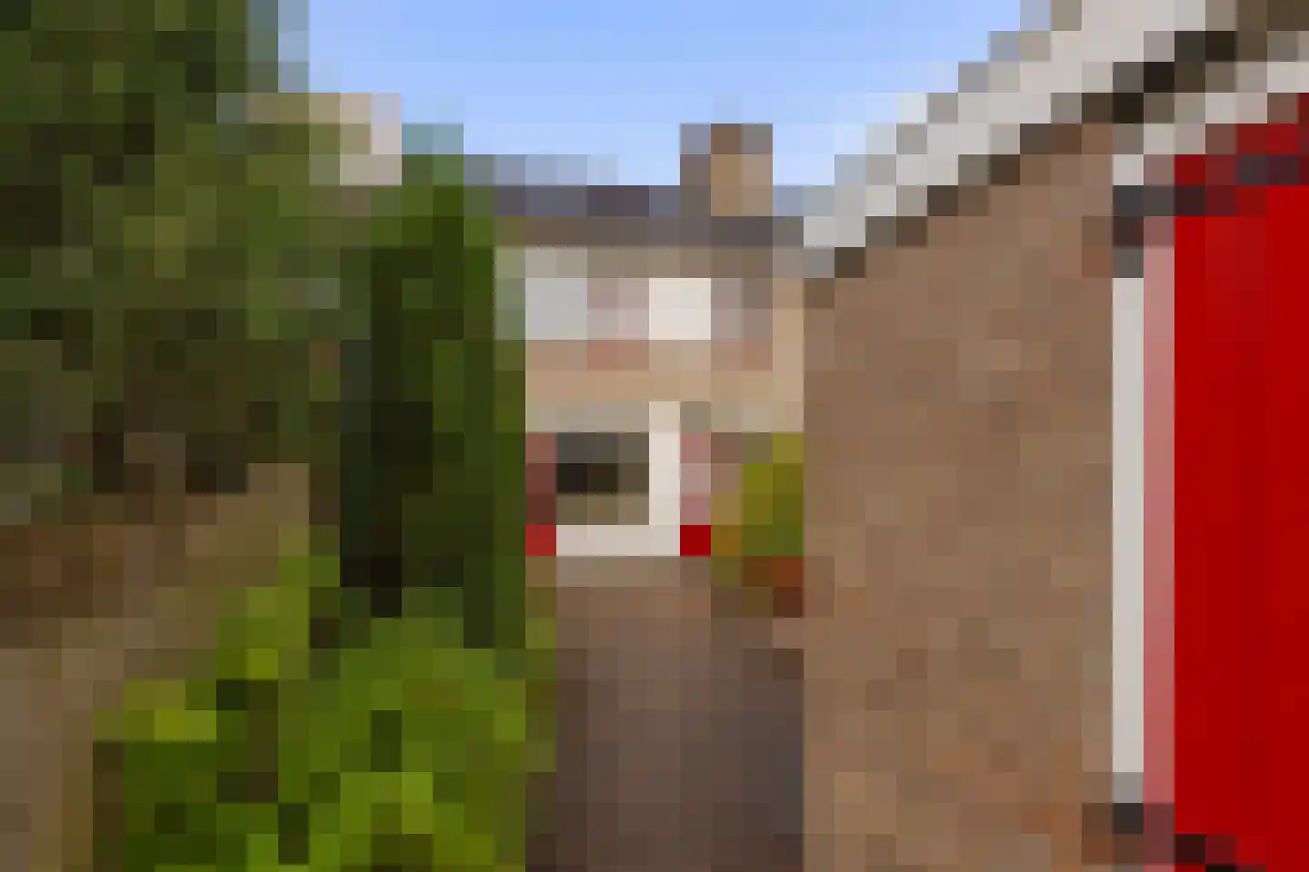 Venuslaan 77 Groningen thumbnail 32