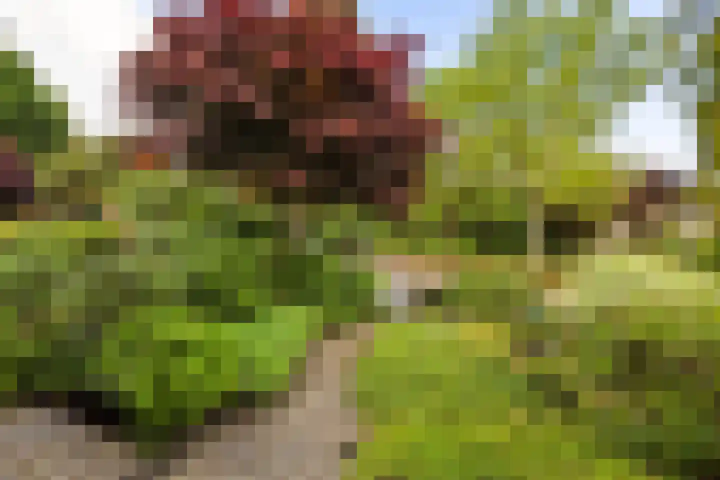 Venuslaan 77 Groningen thumbnail 34