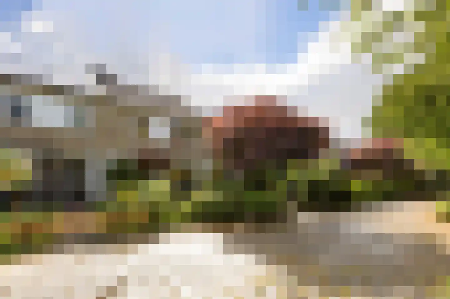 Venuslaan 77 Groningen thumbnail 36
