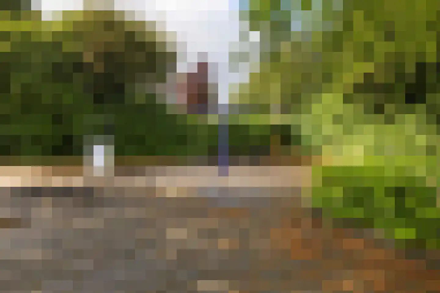 Venuslaan 77 Groningen thumbnail 37