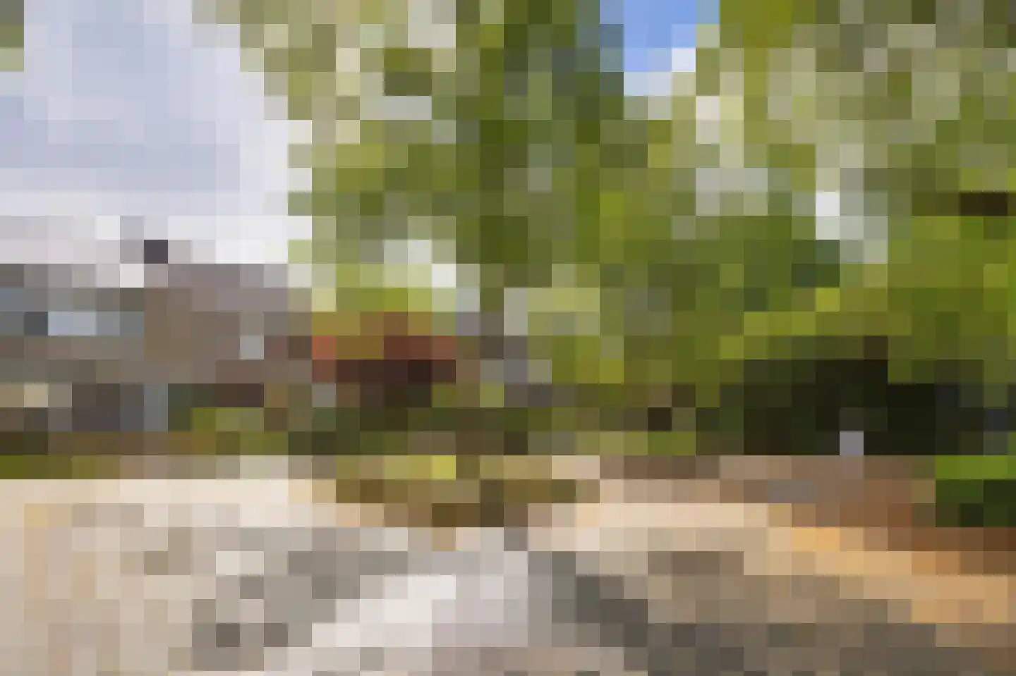 Venuslaan 77 Groningen thumbnail 4