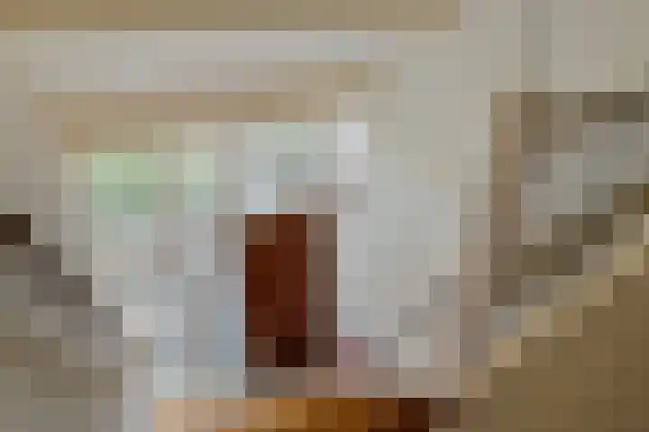 Venuslaan 80 Nieuw-Lekkerland thumbnail 17