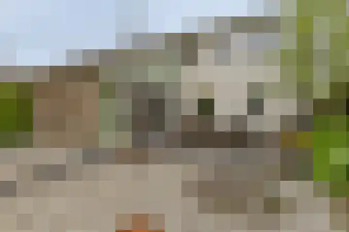 Venuslaan 80 Nieuw-Lekkerland thumbnail 29