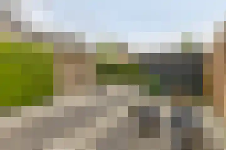 Venuslaan 80 Nieuw-Lekkerland thumbnail 30