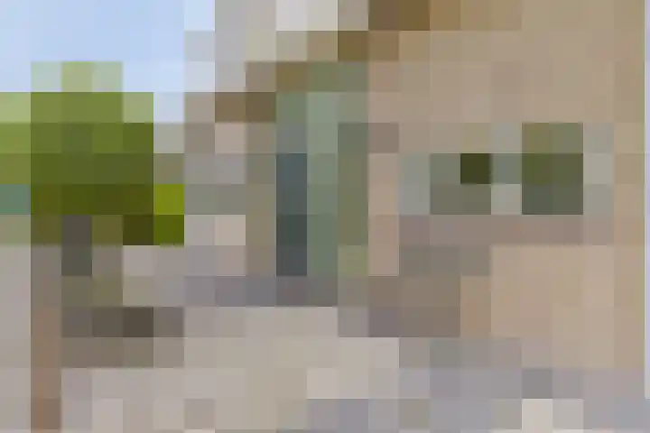 Venuslaan 80 Nieuw-Lekkerland thumbnail 31