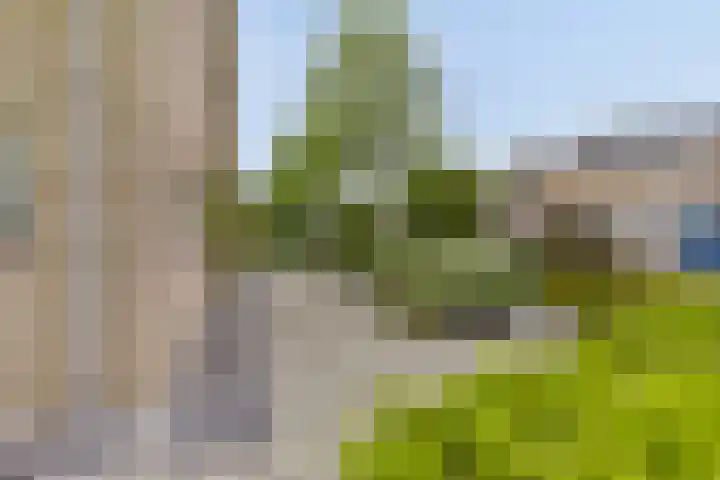 Venuslaan 80 Nieuw-Lekkerland thumbnail 32