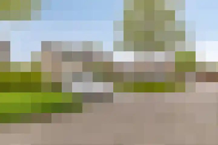 Venuslaan 80 Nieuw-Lekkerland thumbnail 33