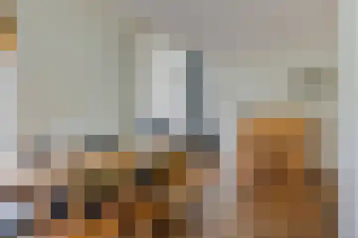 Venuslaan 80 Nieuw-Lekkerland thumbnail 7