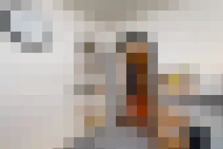Venuslaan 82 Nieuw-Lekkerland thumbnail 14