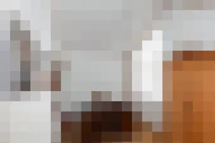Venuslaan 82 Nieuw-Lekkerland thumbnail 23