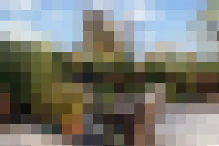 Venuslaan 82 Nieuw-Lekkerland thumbnail 33